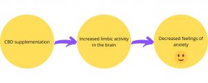 Limbic